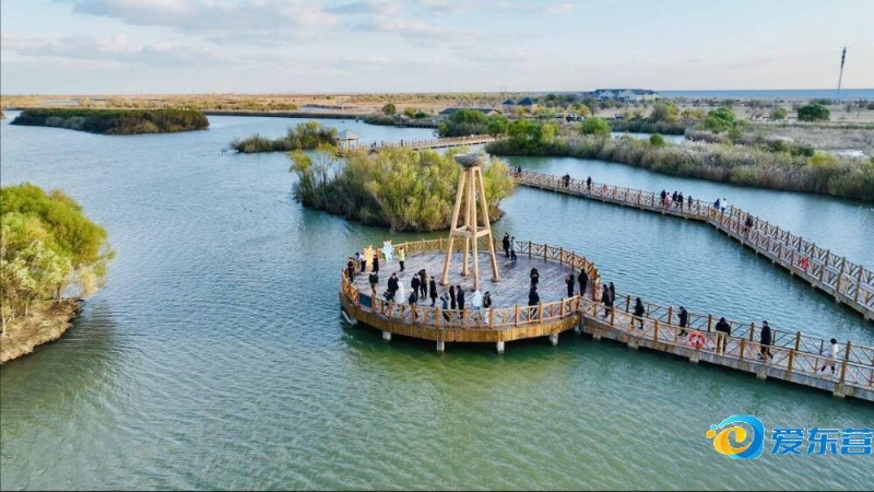 应是为了图 应是为了图